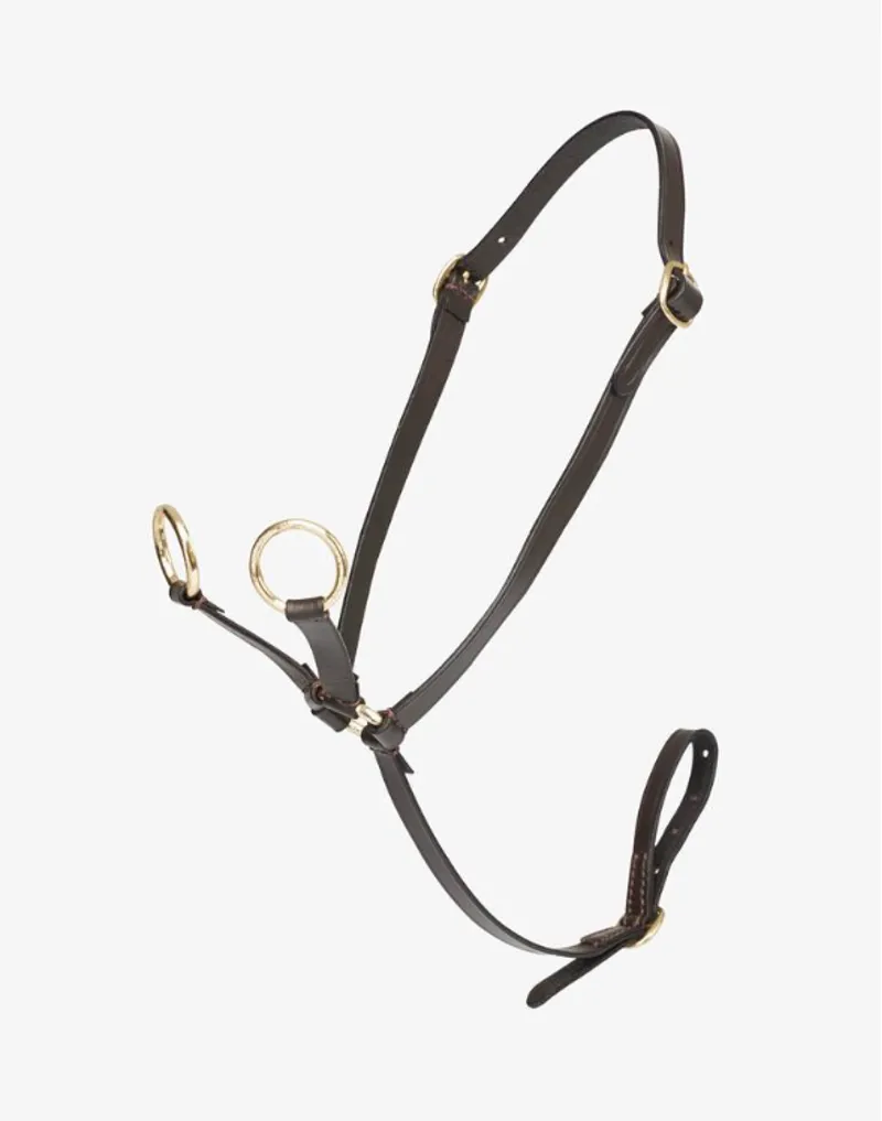 LeMieux Toy Pony Martingale Brown